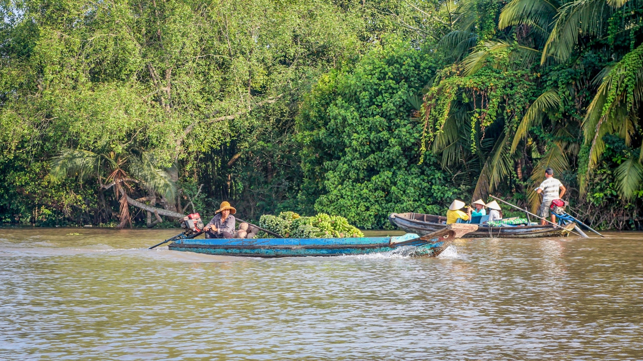 Delta Mekongu – rýžová mísa Vietnamu